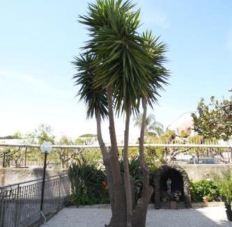 Trecase Apartment | Da Don Antonio