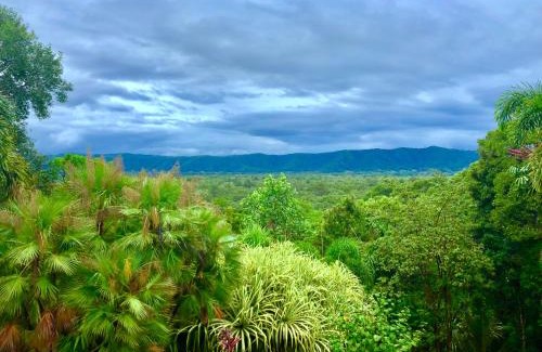 Forest Creek Bed & Breakfast | Daintree Manor B&B