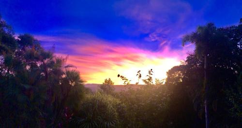 Forest Creek Bed & Breakfast | Daintree Manor B&B