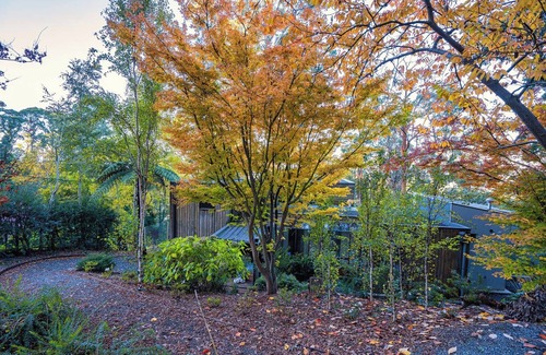 Kalorama House | Dandenong Ranges Modernist Bush Escape