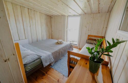 Pavilosta House | Dandzenieki