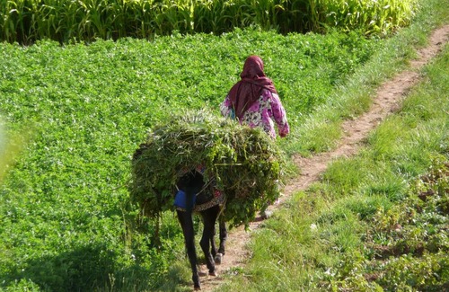 Tabant House | Dar Ait Bouguemez