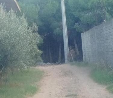 Ras Jebel House | Dar Latifa Plage et Forêt