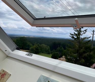 Eisenbach Apartment | Das Falken Nest