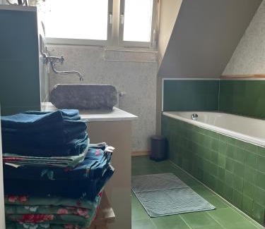 Eisenbach Apartment | Das Falken Nest