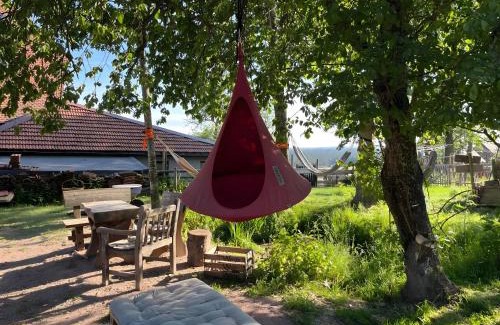 Eisenbach Apartment | Das Falken Nest