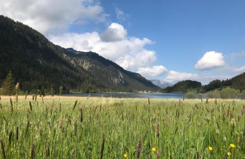 Haller Apartment | Das Haldensee