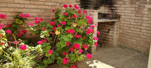 Puerto Madryn Apartment | Davies Apartment