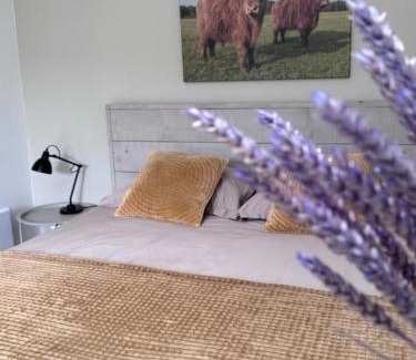Bunne Bed & Breakfast | De Burcht-Drenthe