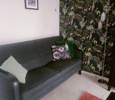 Vledder Apartment | De Lindehoeve Appartement de Pompestraat