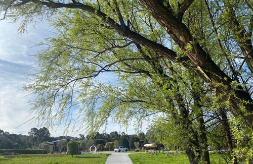 Dixons Creek Cabin | De'Vine Escape