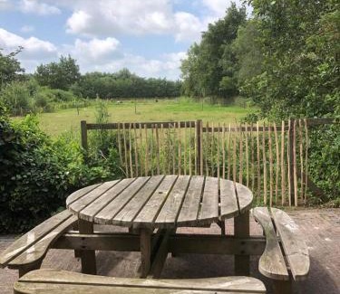 Damwald Resort | De Weide - Camping Botniahiem - Damwoude