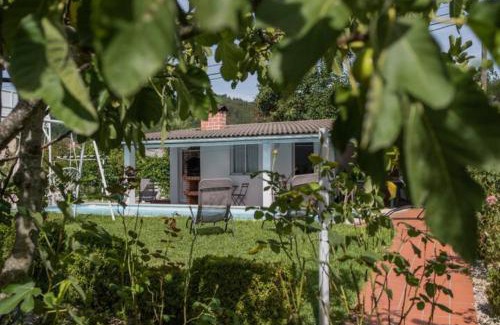 Sao Pedro do Sul House | Delfim e Carmo - Entire House com Piscina