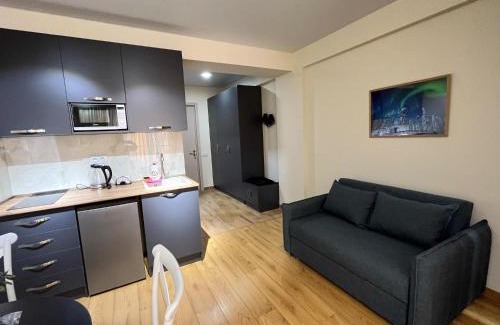 Kazbegi Apartment | Delux apartment next to ice rink