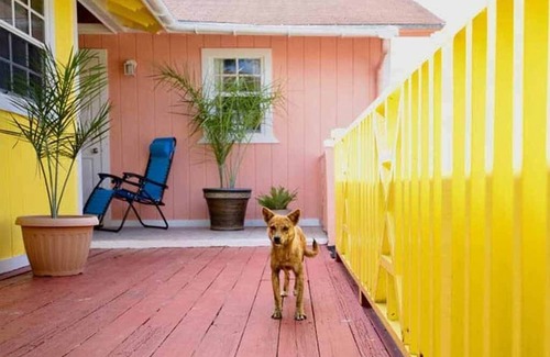 South Andros Apartment | Deluxe Queen Studio, Nathan's Lodge, Andros Resort