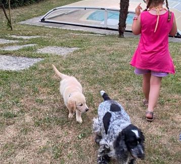 Viviers-du-Lac Bed & Breakfast | Demeure d'hôtes Les Irisynes