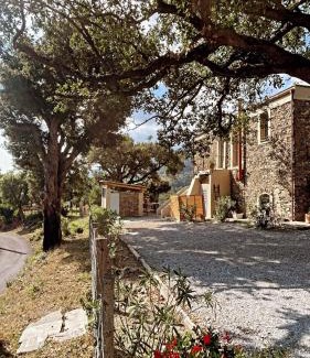 San-Giuliano Apartment | Demeure de charme, appartement du Campu di l altru mondu