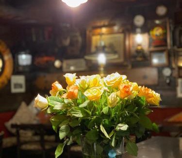 Sodermalm Boat Rental | Den Röda Båten