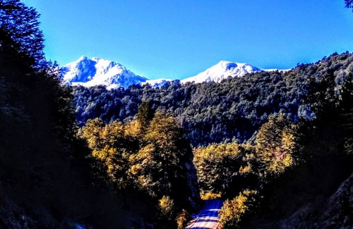 Los Ladrillos Apartment | Departamento de montaña en el río puelo Chile