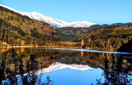 Los Ladrillos Apartment | Departamento de montaña en el río puelo Chile