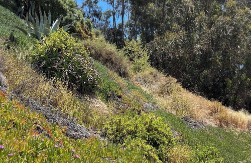 Quintero Apartment | Departamento Frente al mar , Acceso Directo a la Playa