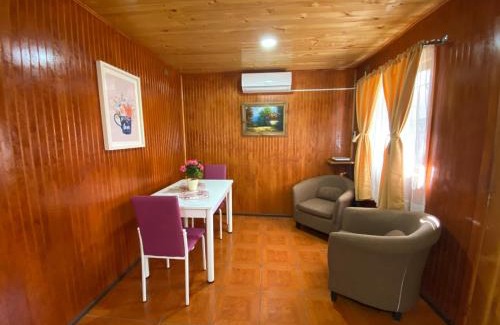 Temuco Apartment | Depto N°2 Temuco Centro