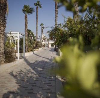 Yeruham Hotel | Desert Iris Hotel