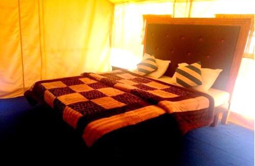 Hundur Other | Desert Oasis Camp