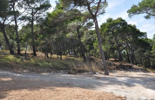 Cove Murtar Apartment | Design apartment 2ˇˇˇˇ