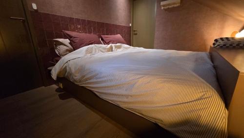 Rauwerd House | Design Lodge - It Sluske New 2025