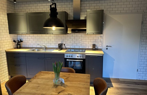 Lutherstadt Wittenberg Apartment | Designapartment 2 mit Terrasse.100 Meter Fußweg zur Schlosskirche und Marktplatz