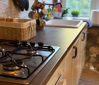 Central Tzoumerka House | Despina house