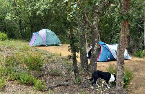 Boule-d'Amont House | Detached barn in a Catalan farmhouse surrounded by nature. Lounge area, kitchen.