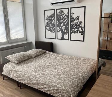 Augustow Apartment | DiM Augustów Śródmieście