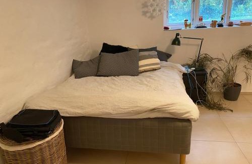 Gentofte Municipality Villa | Din egen villa, spa, ude bruser, have & elbil-lader