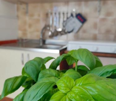 Scoglitti House | Dirò Camere