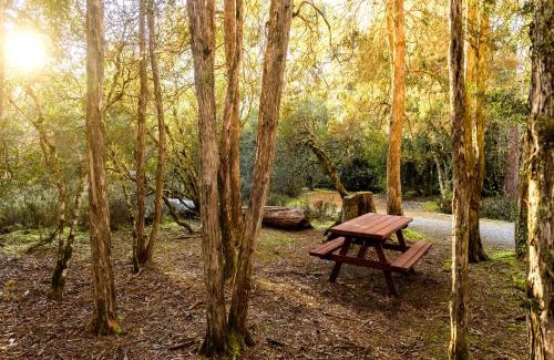 Cradle Mountain Cabin | Discovery Parks - Cradle Mountain