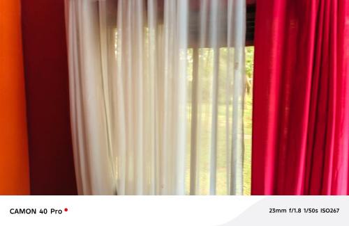 Kisumu County Apartment | DMO Guest House