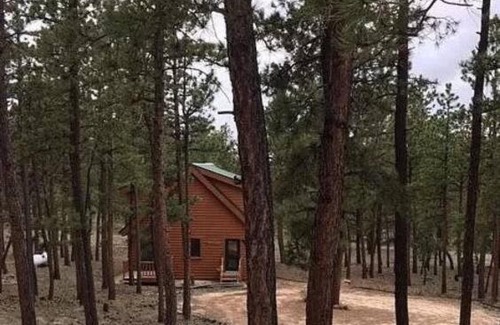 Westcliffe House | Dog Friendly, Cozy 3 Bdrm Cabin in the Woods