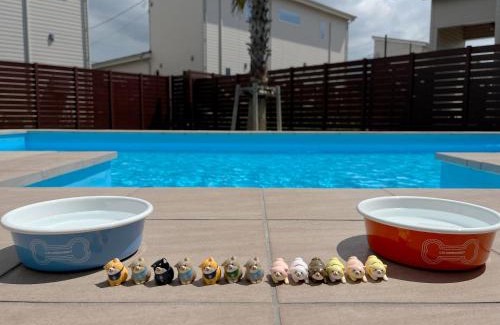 Futtsu House | Dog Resort D&K