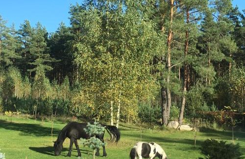 gmina Michałowo House | Dolcevita Podlasie