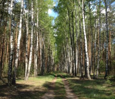 gmina Michałowo House | Dolcevita Podlasie