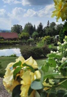 Bukowiec House | Dom Borowski