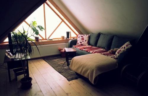 Nowica House | Dom Gościnny Szpilkowo