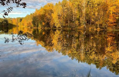 Korzybie House | Dom Pod Jabłonią