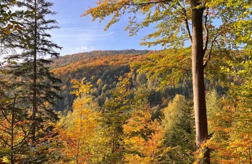 Wegierska Gorka House | Dom Przy Czerwonym Szlaku - The Red Trail Cottage