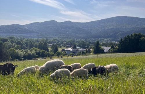 Wegierska Gorka House | Dom Przy Czerwonym Szlaku - The Red Trail Cottage