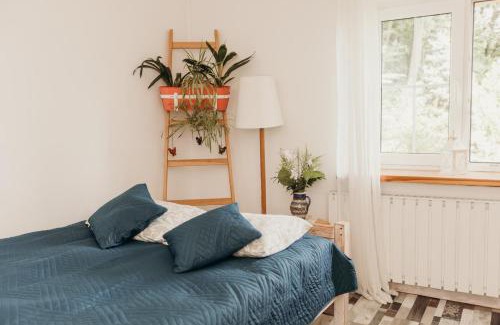 Janowice Wielkie House | Dom w Dolinie