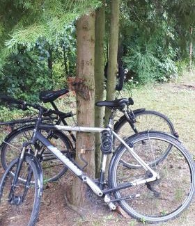 gmina Biskupiec House | Dom w Gaju nad jeziorem Dębno