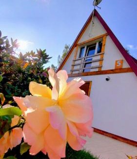 Rowy Cabin | Dom Wakacyjny Za Zakrętem